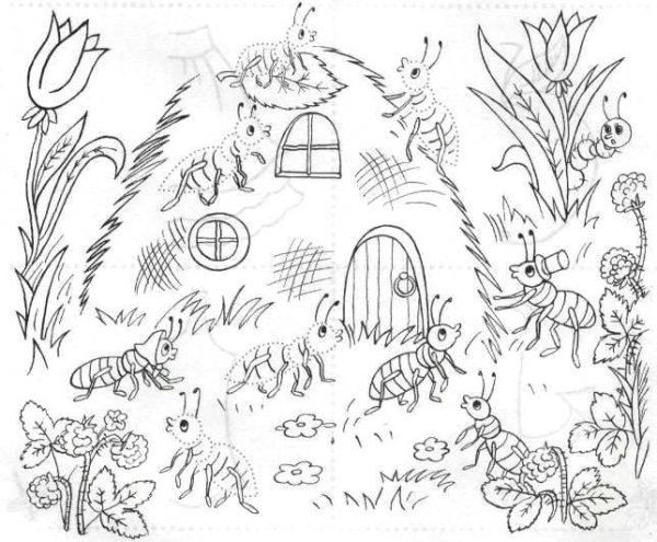 Муравейник раскраска