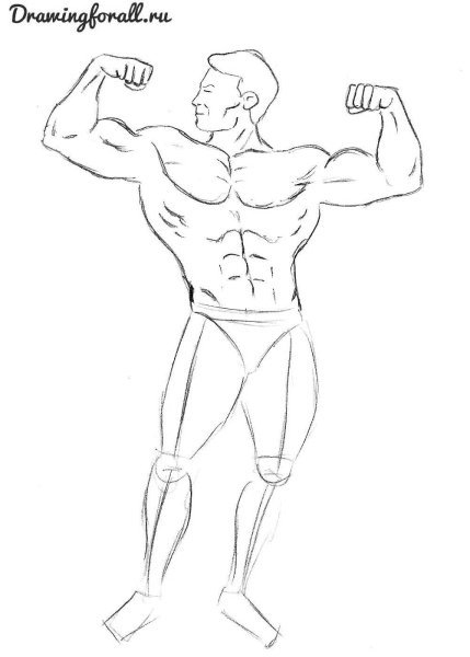 Качок рисунок карандашом