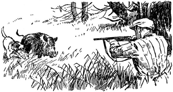 Охота на кабана рисунок