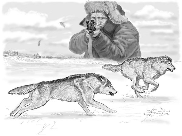 Охота иллюстрации