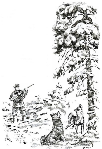 Охотник Графика