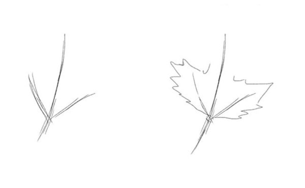 Рисование кленового листа