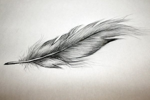 Перо карандашом