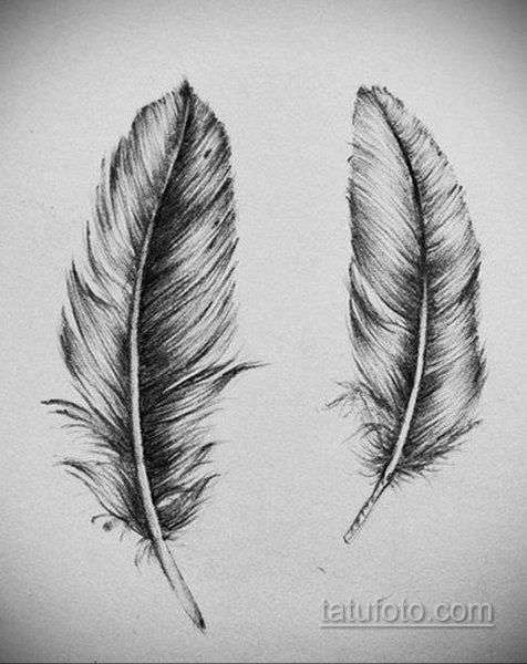 Перо для срисовки карандашом