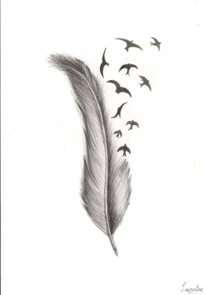 Тату Лебединое перо