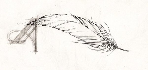 Красивые перья для срисовки