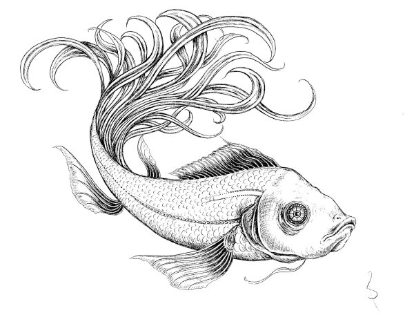 Картинки рыбы карандашом
