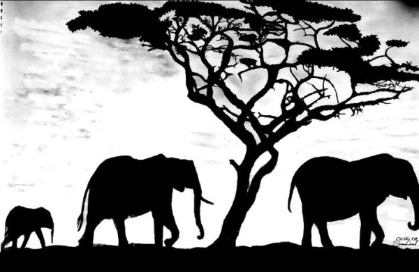 Африка черно белый рисунок