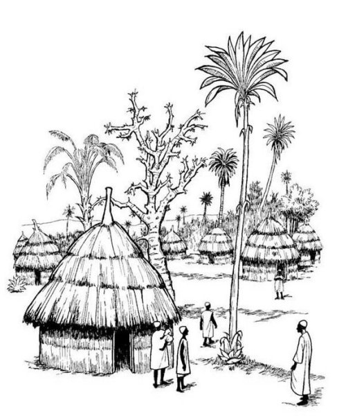 Африканка профиль рисунок