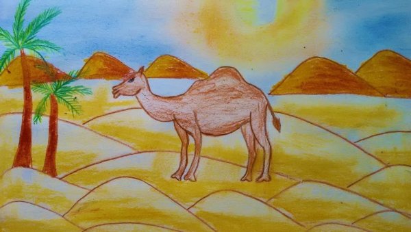 Животные Африки раскраска