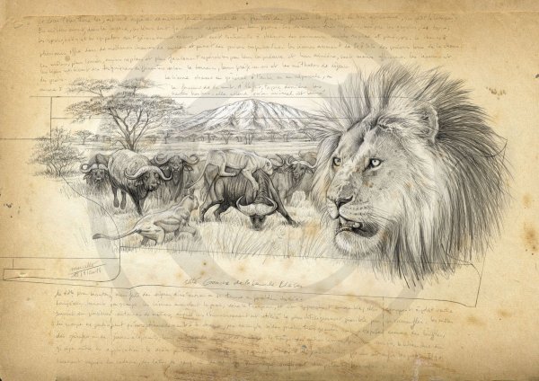 Деревья саванны раскраска