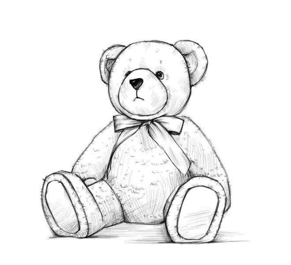 Медвежонок рисунок карандашом