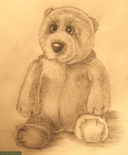Медвежонок рисунок карандашом