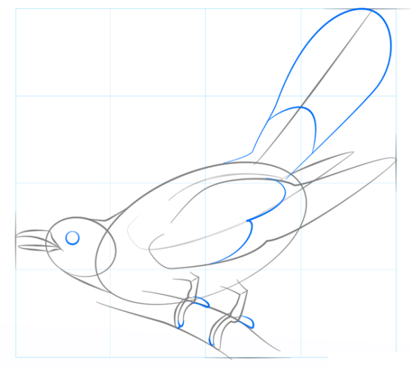 Кукушка карандашом