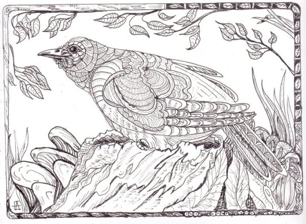 Кукушка раскраска