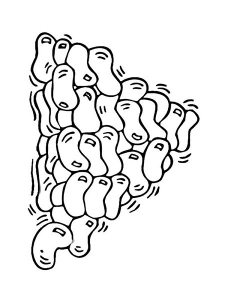 Фасоль раскраска