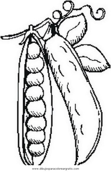 Beans рисунок