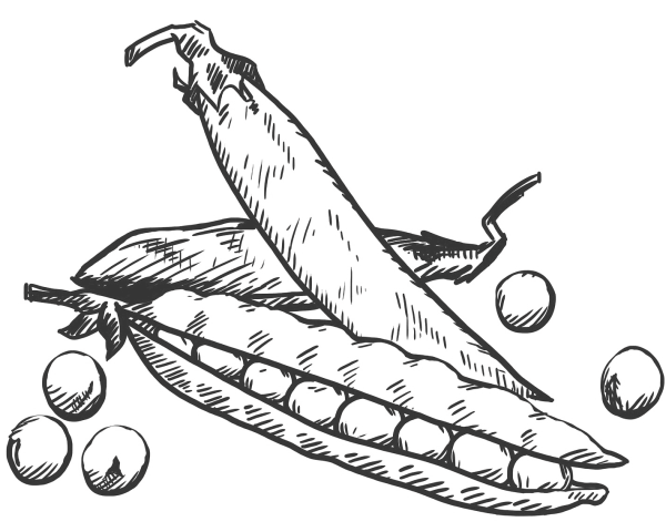 Мармелад раскраска для детей