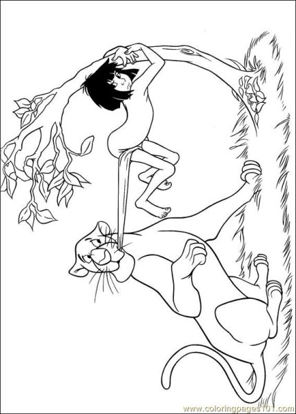 Киплинг Маугли иллюстрации раскраски