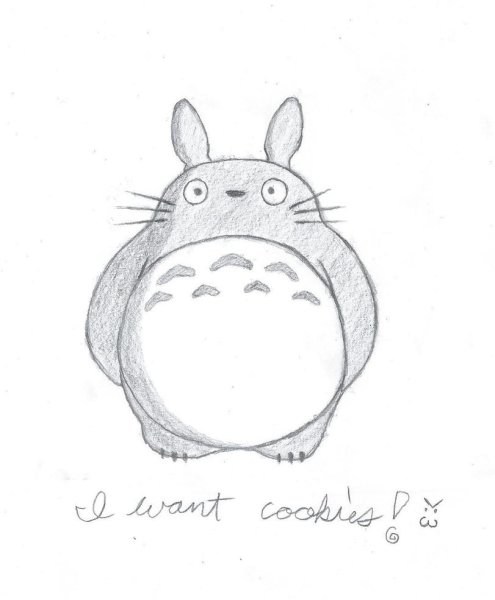 Тоторо рисунок карандашом