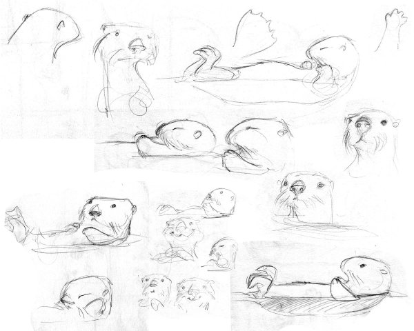 Поэтапное рисование выдры для детей