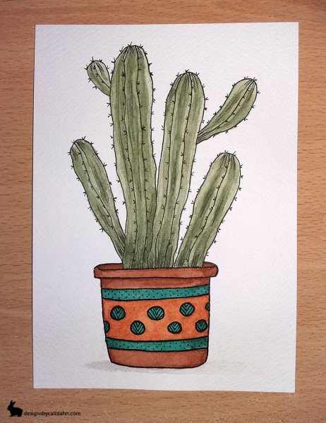 Рисунок Кактус карандашом лёгкие