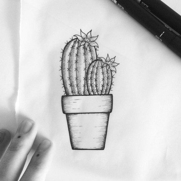 Кактус в графике