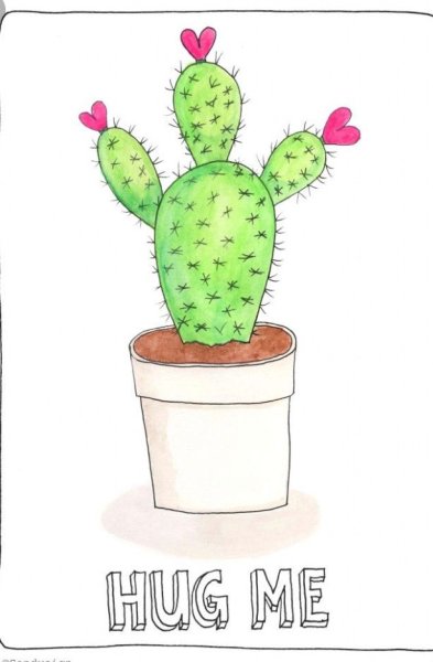 Натюрморт с кактусом