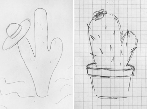 Кактус карандашом