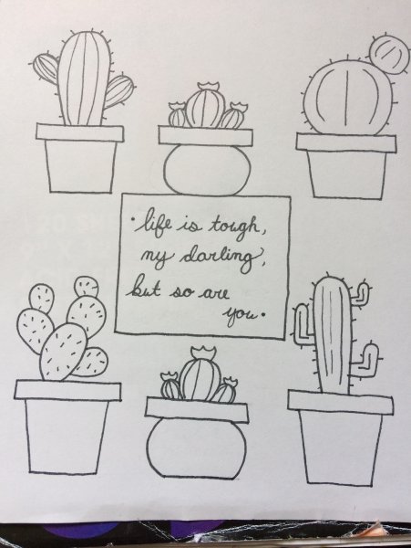 Кактус карандашом