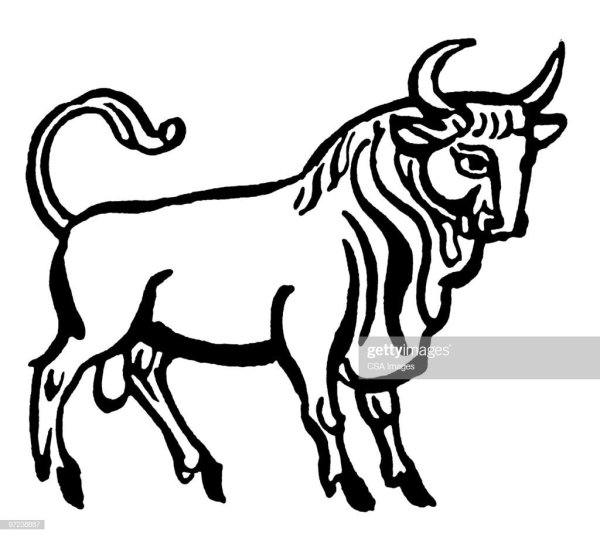 Рисунок тельца