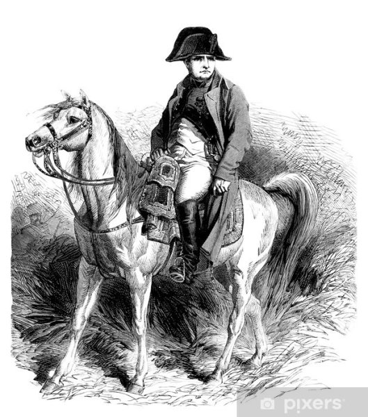 Наполеон Бонапарт раскраска