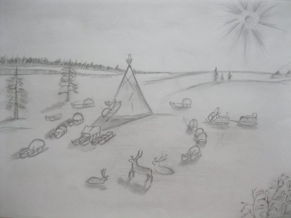 Тундра рисунок карандашом