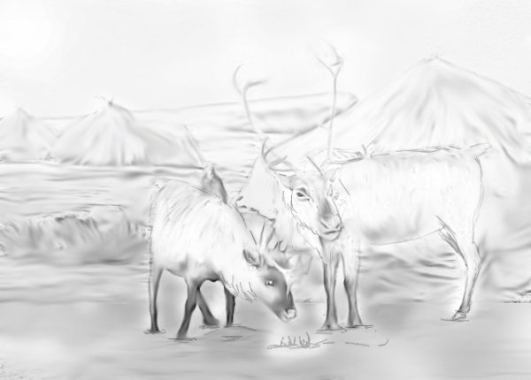 Тундра рисунок карандашом