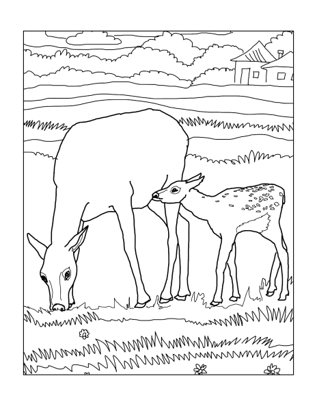 Тундра рисунок