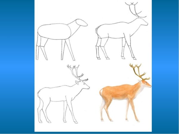 Встречи в тайге