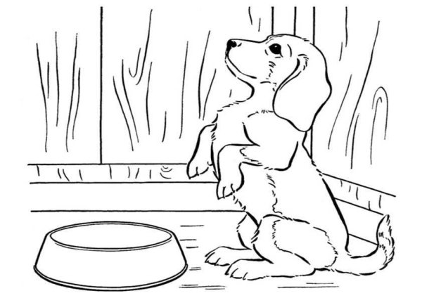 Иллюстрация к рассказу Муму 5 класс