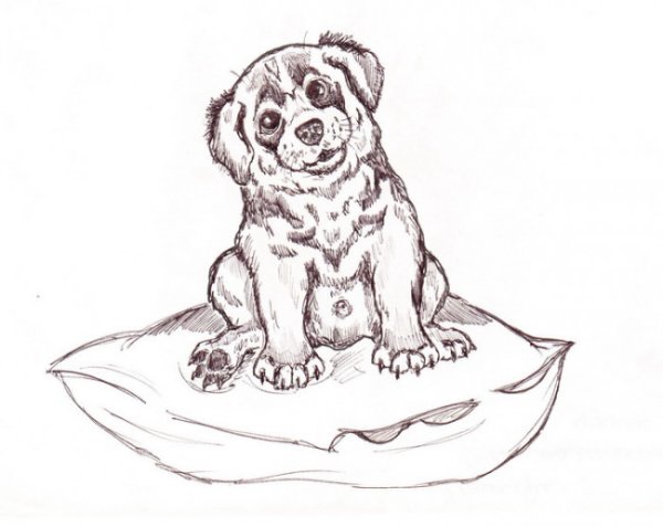 Муму Тургенев собака