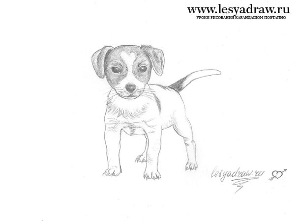 Тургенев Муму Герасим