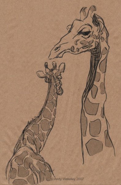 Жираф для рисования детям