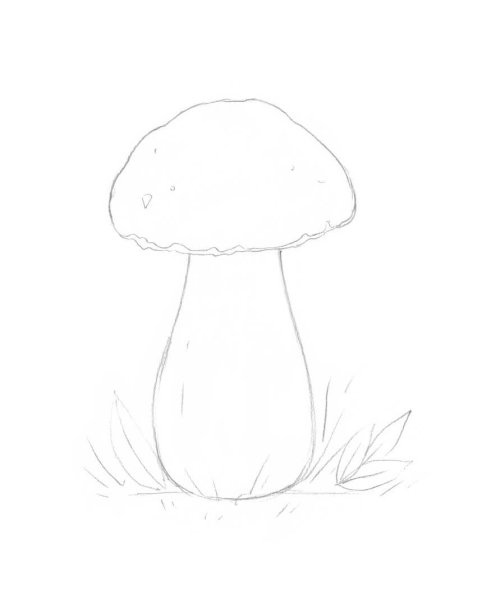 Разукрашка гриб Боровик