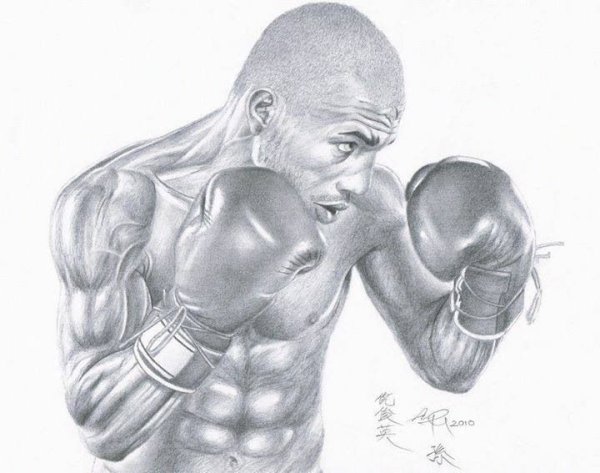 Miguel Cotto Art