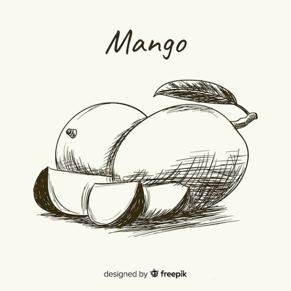 Манго эскиз