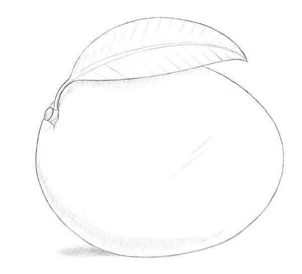 Поэтапное рисование манго