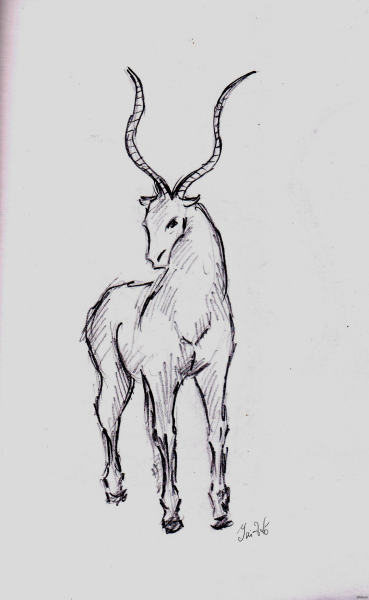 Антилопа набросок