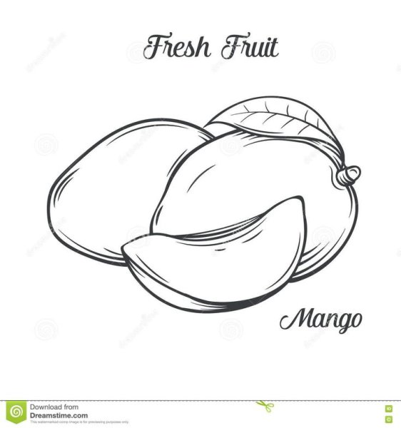 Манго скетч