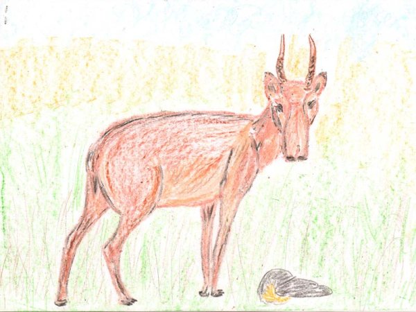 Владимир Сайгак Кузьма Васильевич