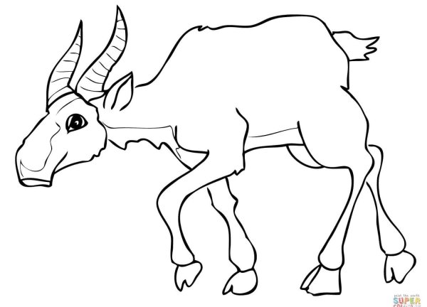 Сайгак раскраска