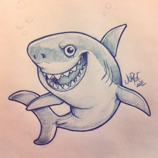 Рисунки для срисовки лёгкие акула