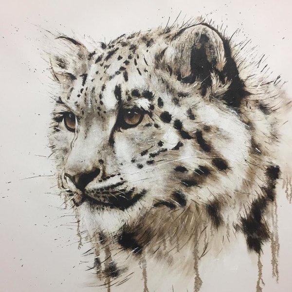 Снежный Барс скетч